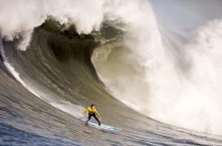 开云体育官方网站-引擎为笔，街道为卷，小贾伦的流光狂想曲