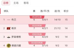 开云体育入口-欧预赛战绩分析：谁将携手晋级，谁将遗憾告别？