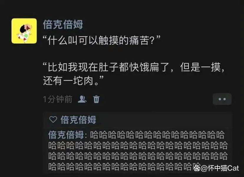 哈化姆主场险胜，实力逐渐获得认可的简单介绍