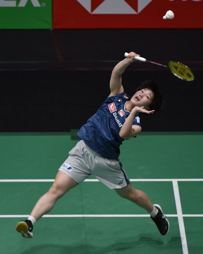中国队横扫马来西亚队，戴资颖状态火热的简单介绍