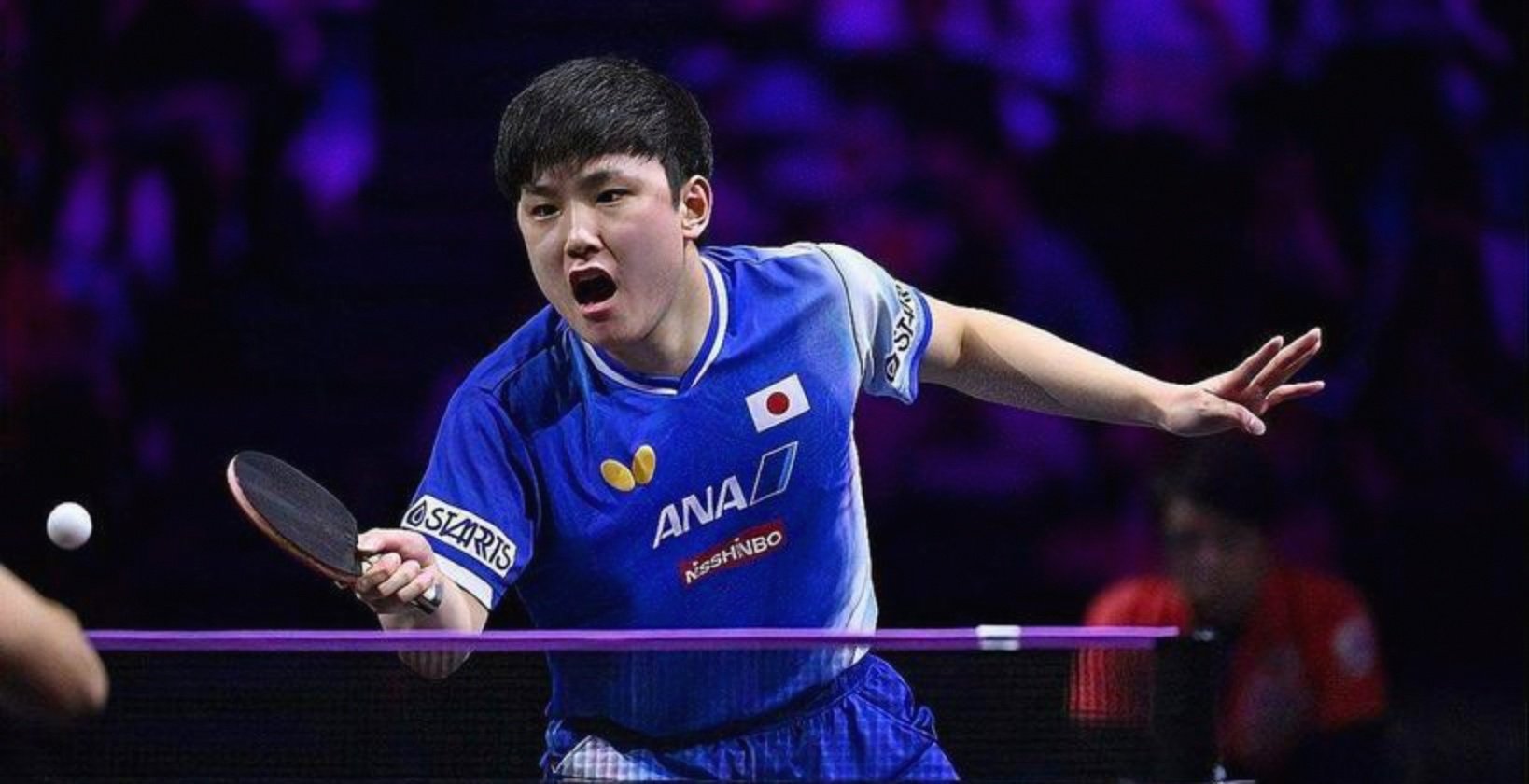 法国队完胜英格兰队，张本智和点燃赛场的简单介绍