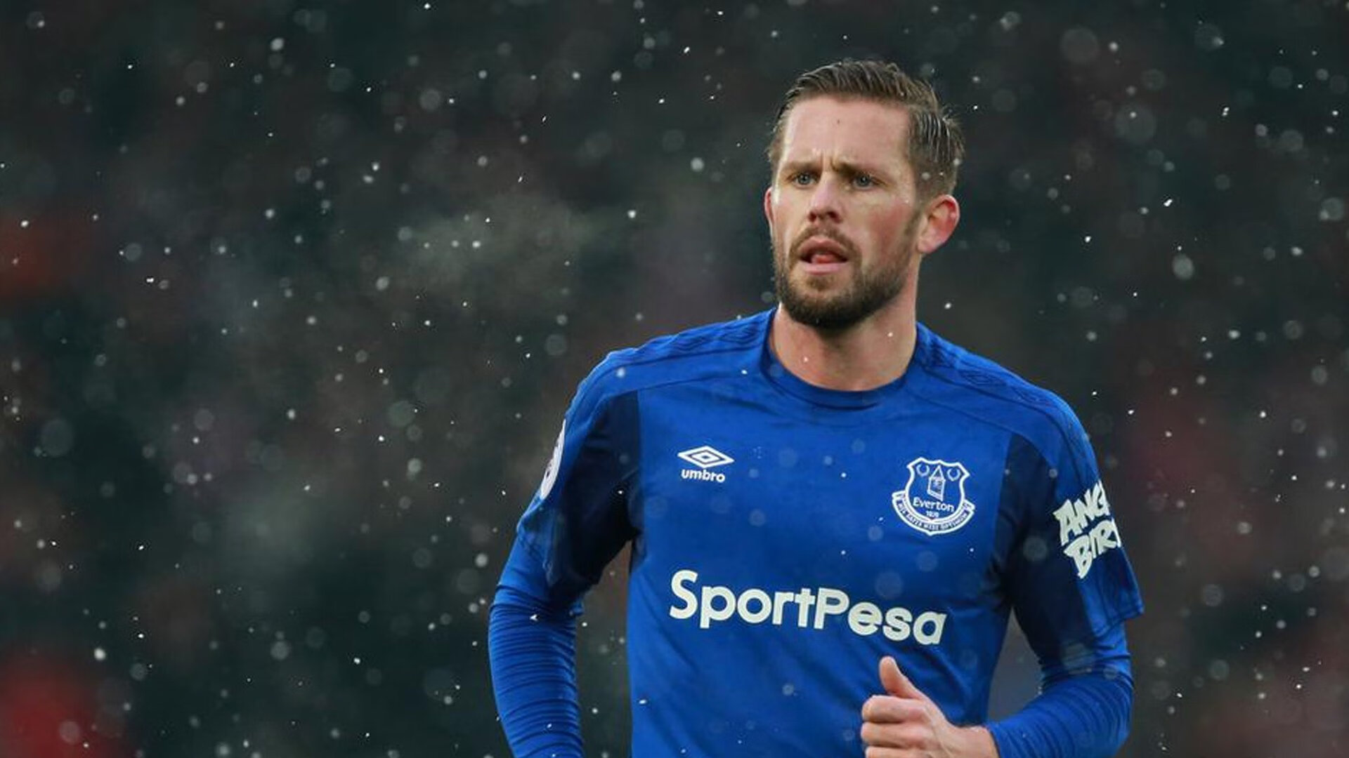 哈利伯顿之夜，当教科书有了心跳